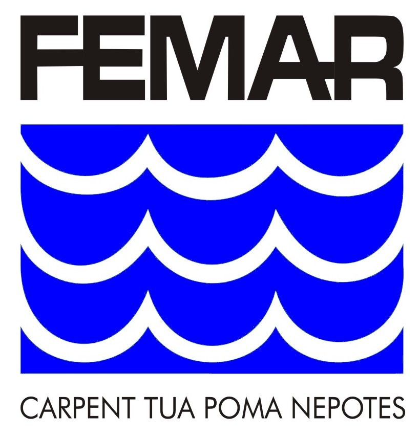 LogoFEMAR